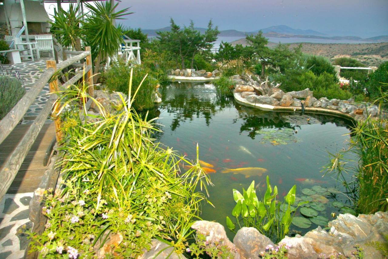 Villa Zografos イラクリア エクステリア 写真