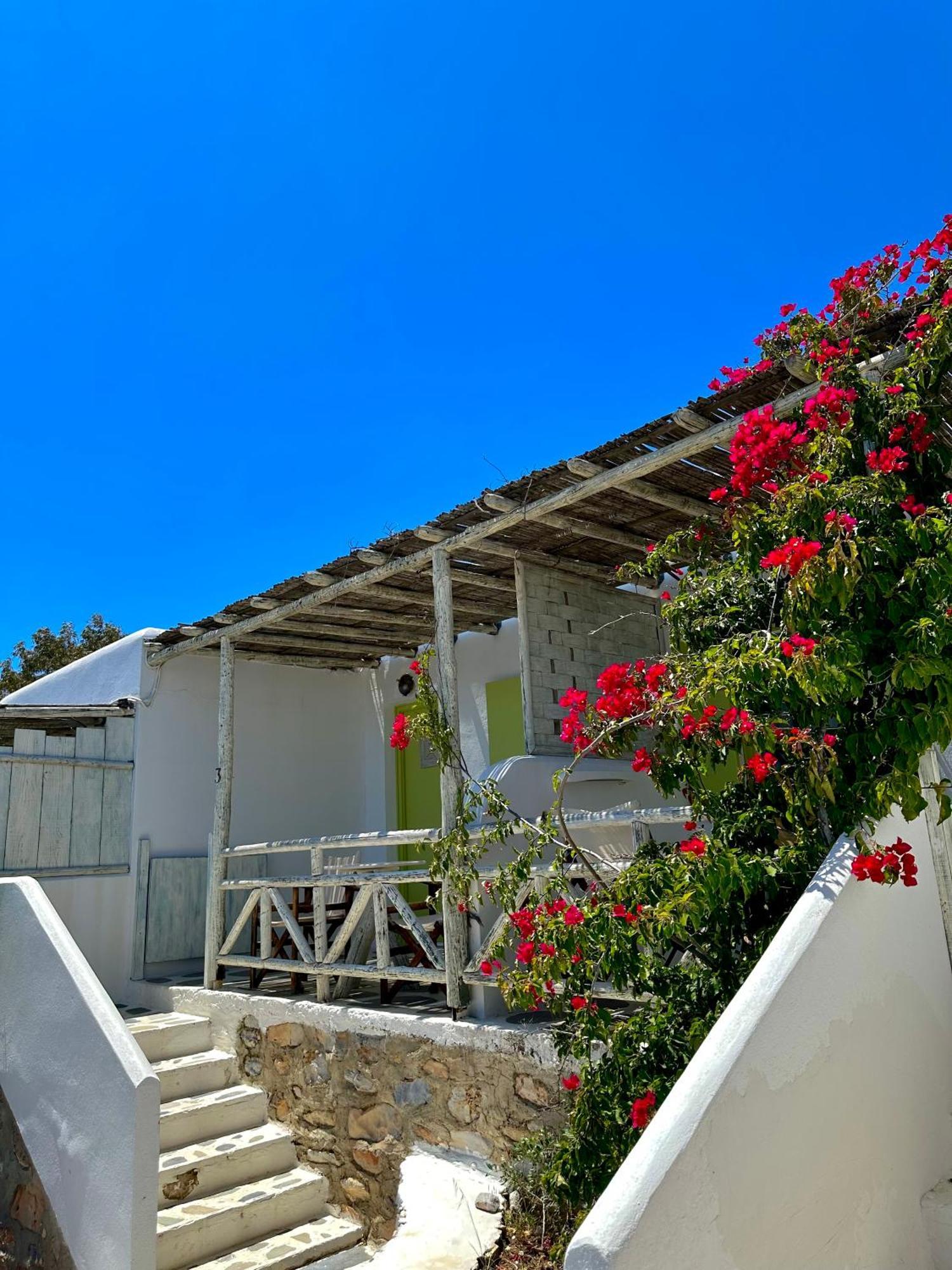 Villa Zografos イラクリア エクステリア 写真